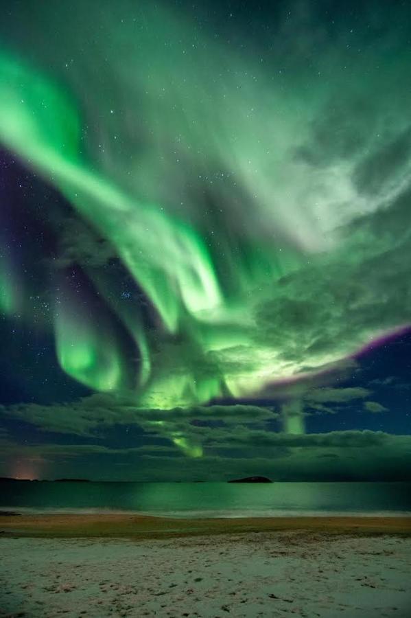 Апартаменты Visit Leif At Senja Gibostad Экстерьер фото